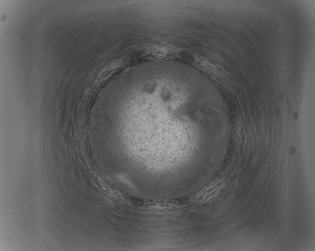 X0000062131105200512161144