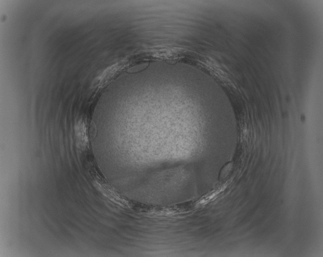 X0000062131106200512161144