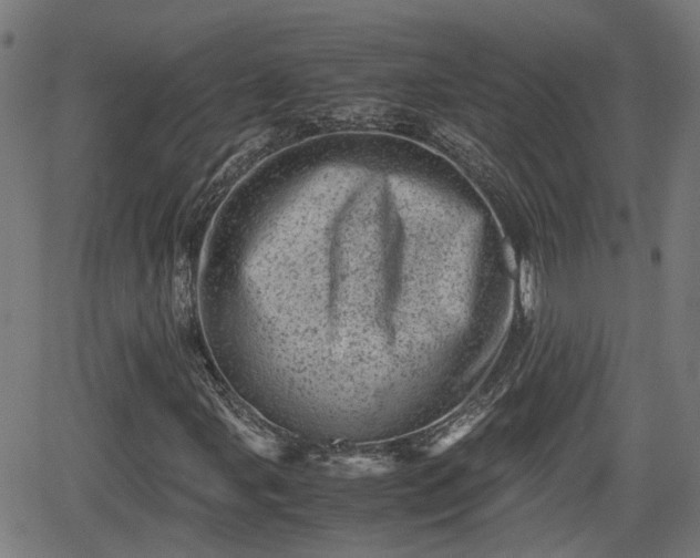 X0000062131107200512161144