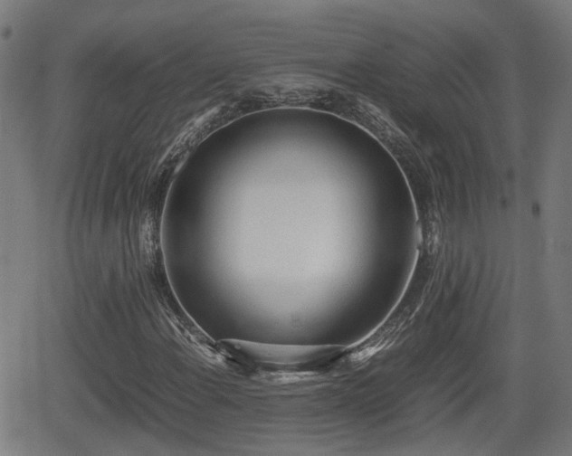 X0000062131108200512161144