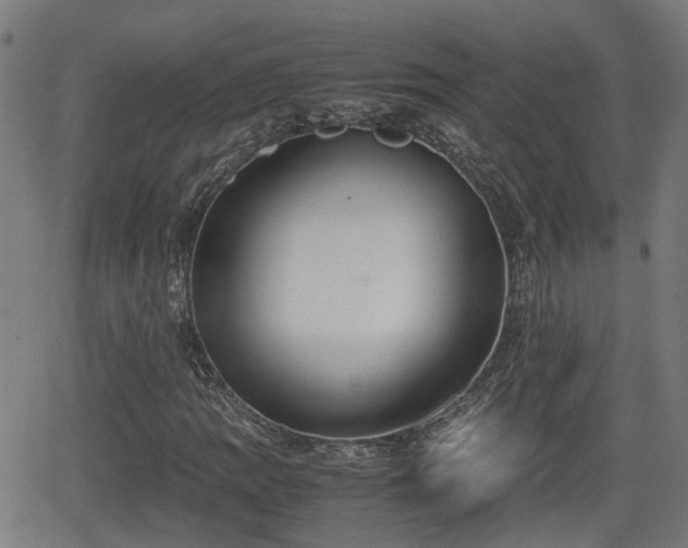 X0000062131109200512161144