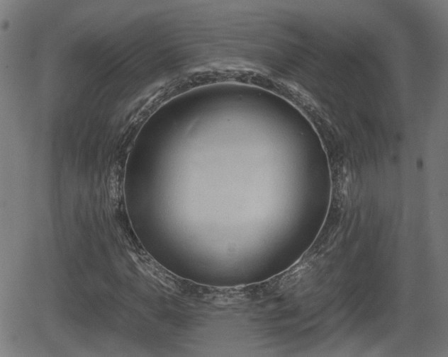 X0000062131110200512161144