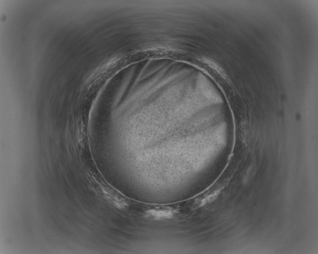 X0000062131111200512161144