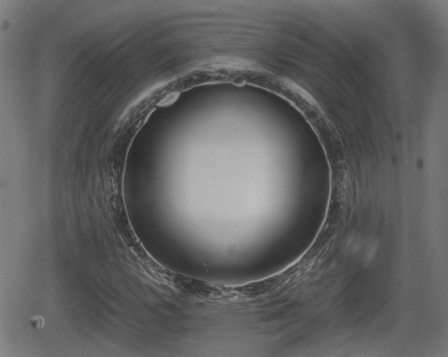 X0000062131112200512161144