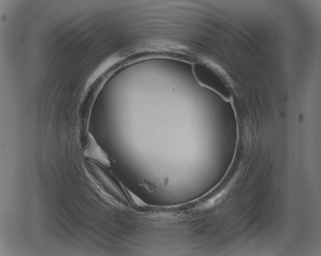 X0000062131114200512161145