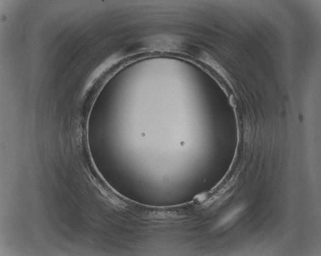 X0000062131115200512161145