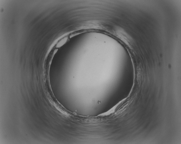 X0000062131116200512161145