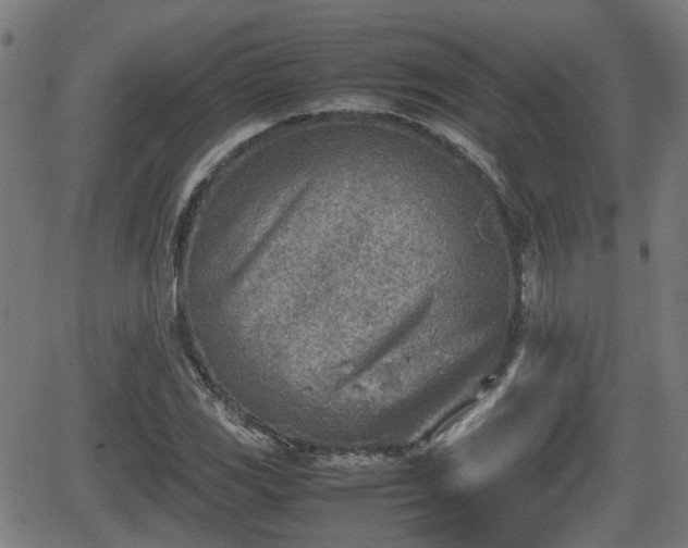 X0000062131117200512161145