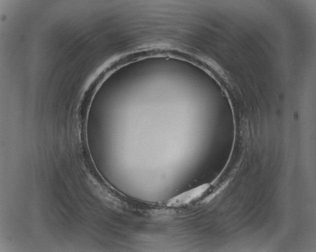 X0000062131118200512161145