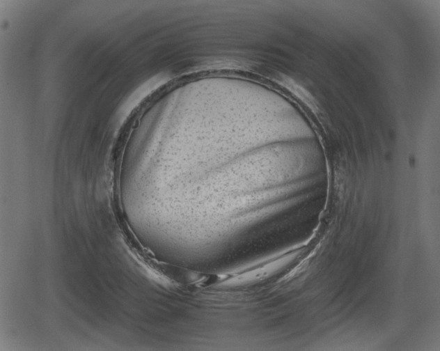 X0000062131119200512161145