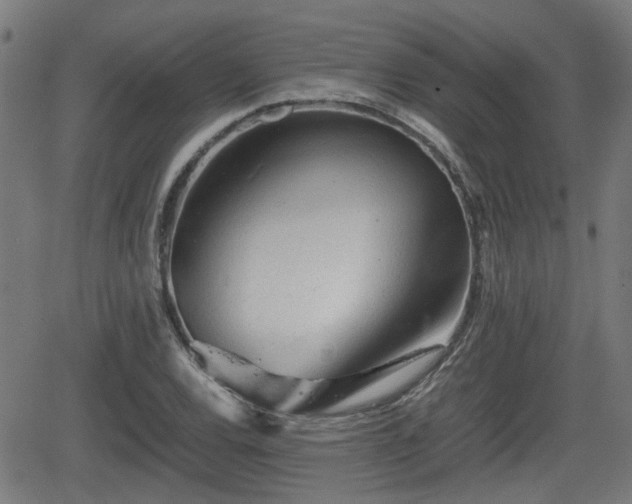 X0000062131120200512161145