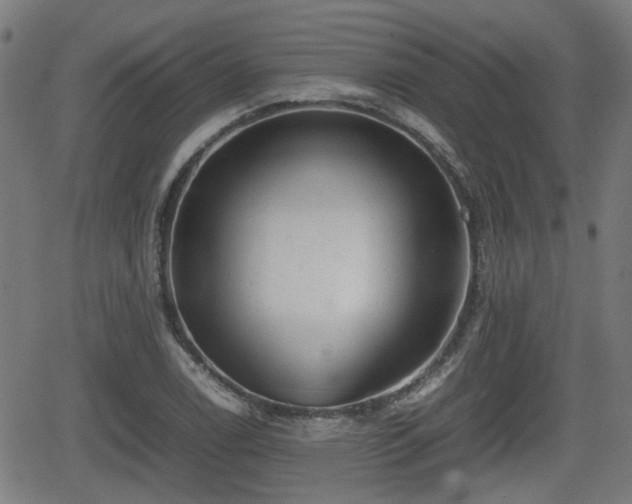 X0000062131122200512161145