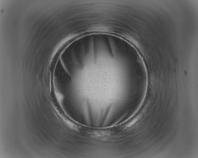 X0000062131123200512161145