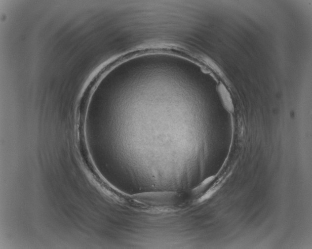 X0000062131124200512161145