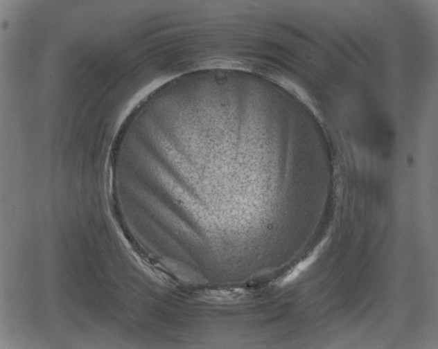 X0000062131125200512161145