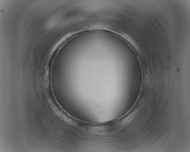 X0000062131126200512161145