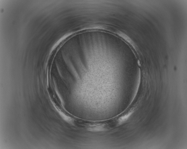 X0000062131127200512161145