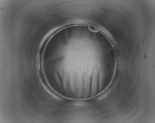 X0000062131128200512161145