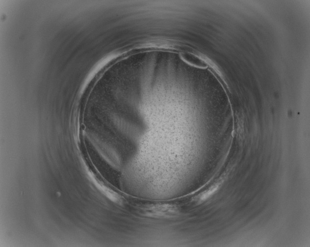 X0000062131131200512161145