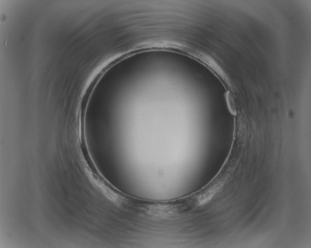 X0000062131132200512161145