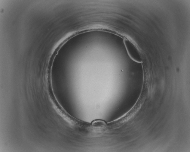 X0000062131134200512161145