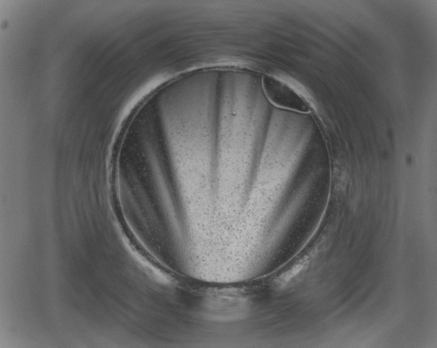 X0000062131135200512161145