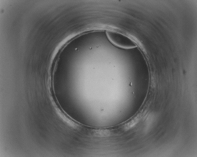 X0000062131136200512161145