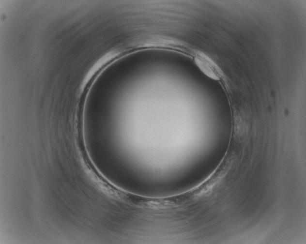 X0000062131138200512161145