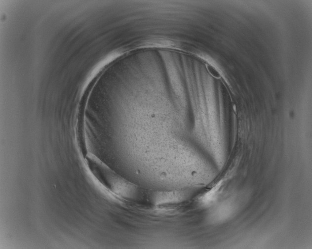 X0000062131139200512161145