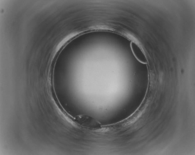 X0000062131141200512161145