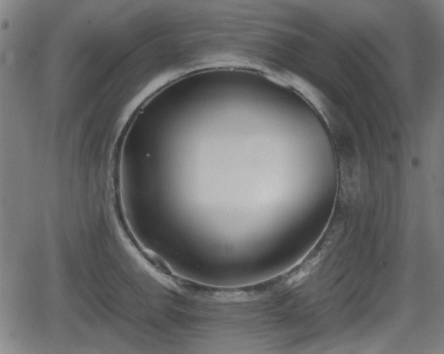 X0000062131142200512161145