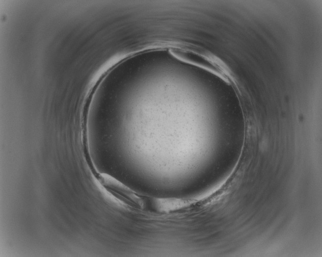 X0000062131143200512161145