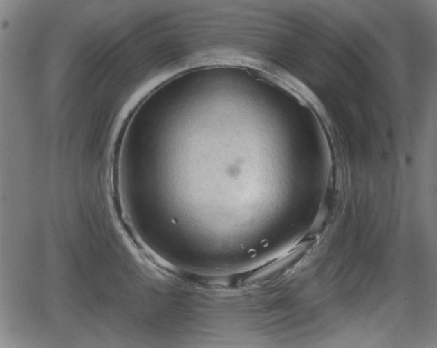 X0000062131144200512161145