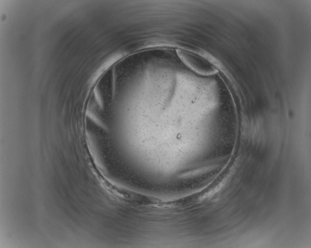 X0000062131145200512161145