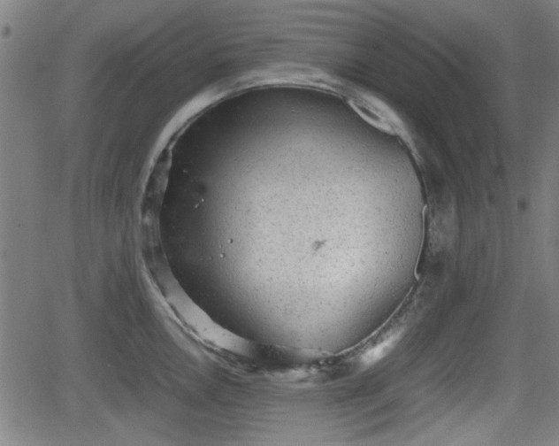 X0000062131146200512161145