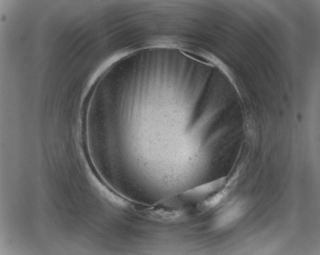 X0000062131147200512161145