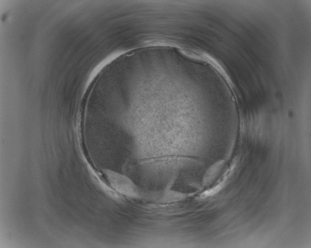 X0000062131149200512161145