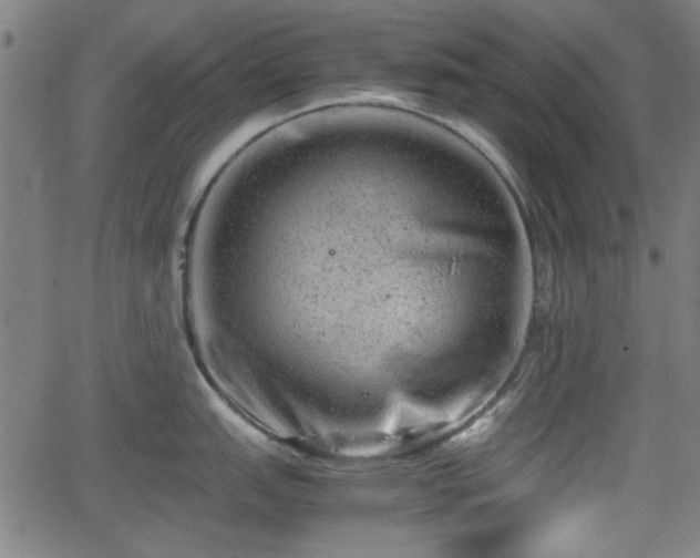 X0000062131151200512161145