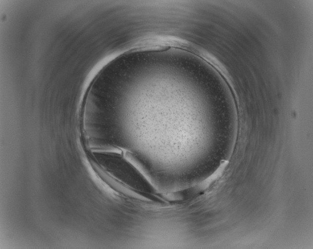 X0000062131152200512161145