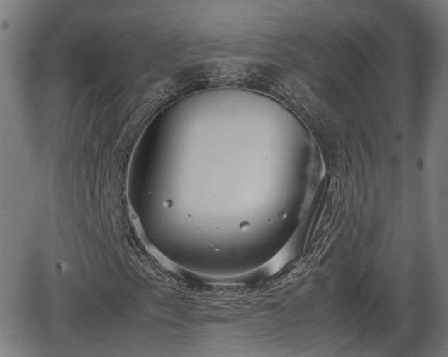 X0000062131153200512161144