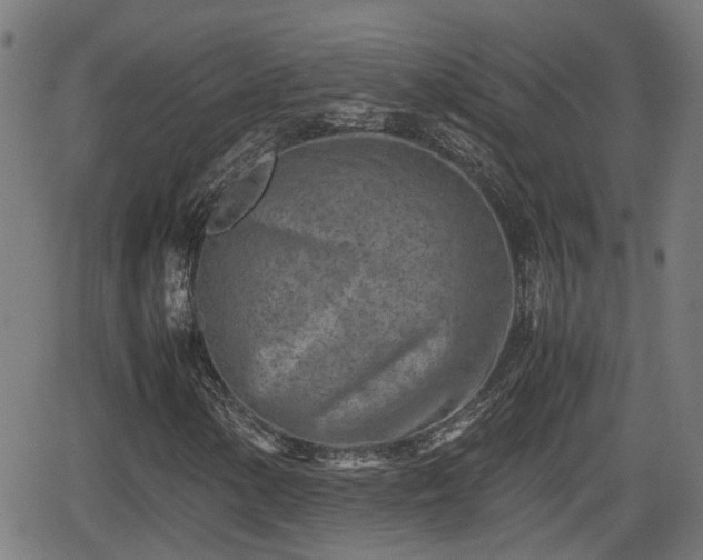 X0000062131154200512161144