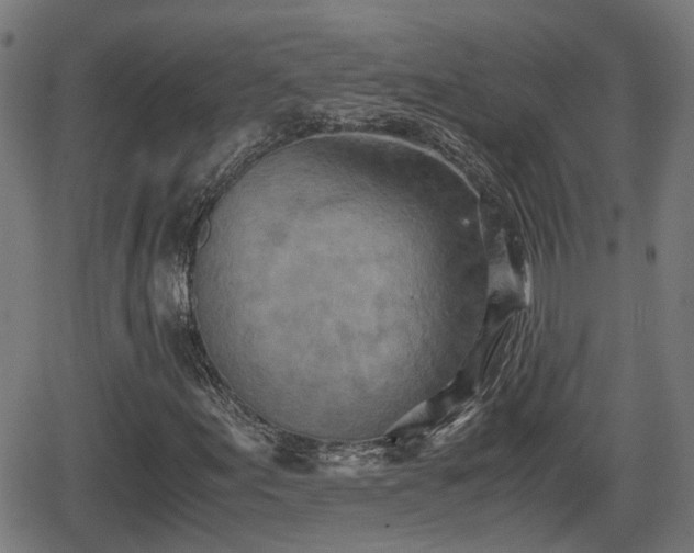 X0000062131155200512161144