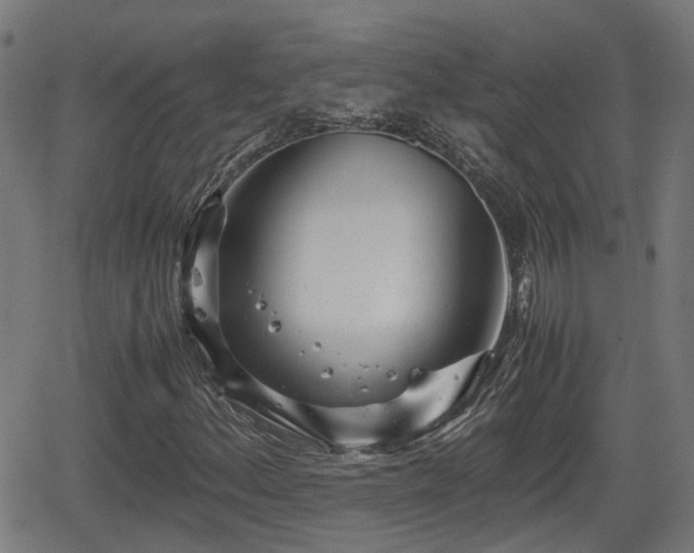 X0000062131156200512161144