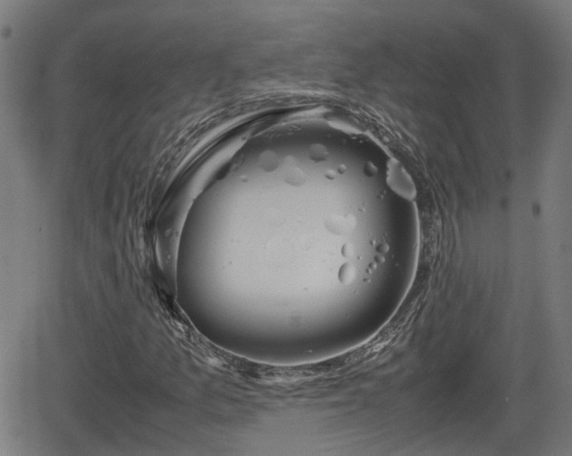 X0000062131157200512161144