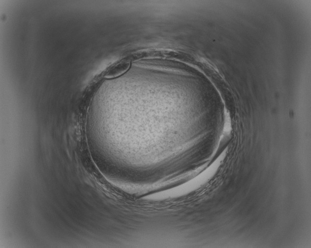 X0000062131159200512161144