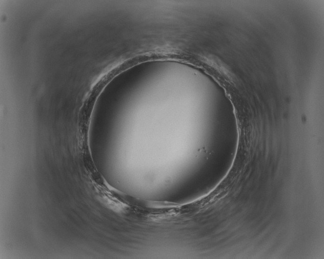 X0000062131160200512161144