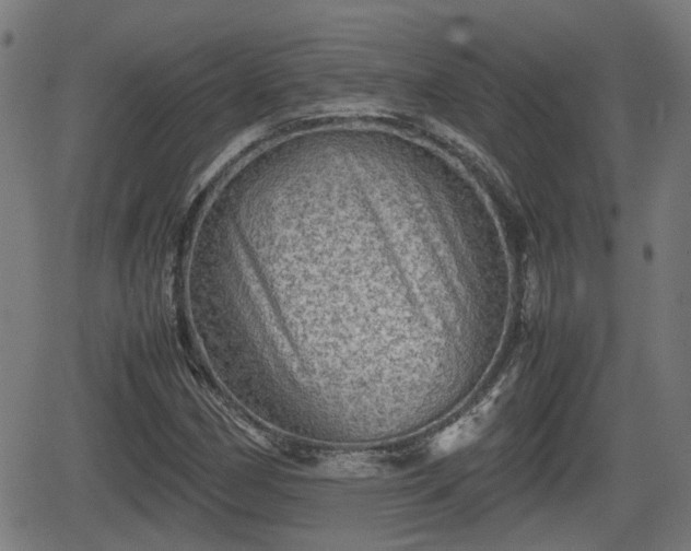 X0000062131162200512161144