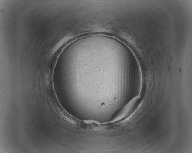 X0000062131163200512161144