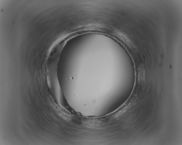 X0000062131164200512161144