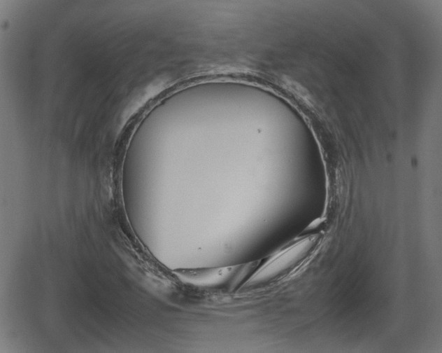 X0000062131165200512161144